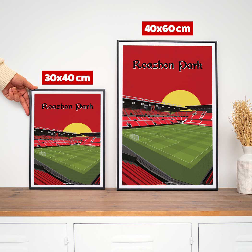 Affiche Stade foot Rennes - Roazhon Park